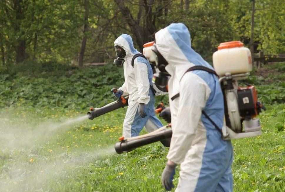ФОТО Уничтожение клопов в Большой Речке