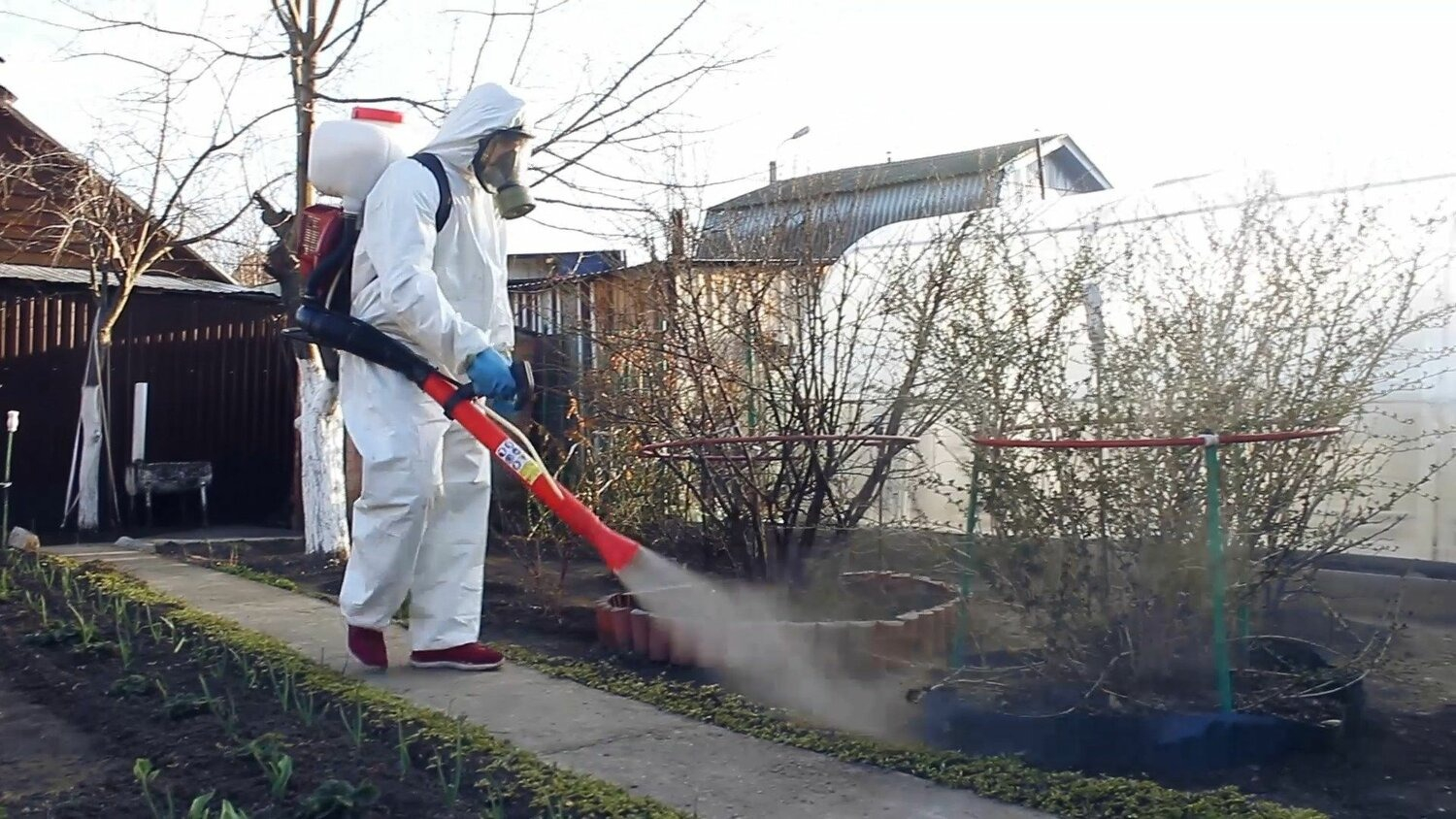 ФОТО Уничтожение муравьёв в Большой Речке