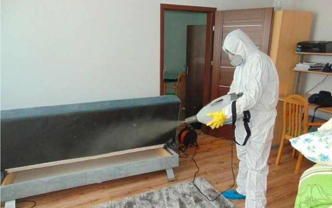 ФОТО Уничтожение блох в Большой Речке