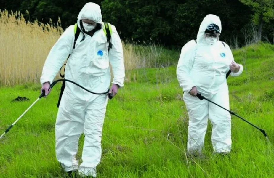 ФОТО Обработка от клещей в Большой Речке