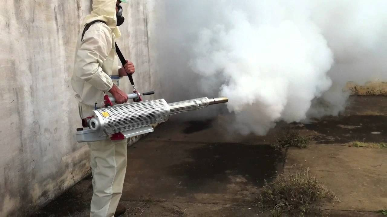 ФОТО Уничтожение мух в Большой Речке