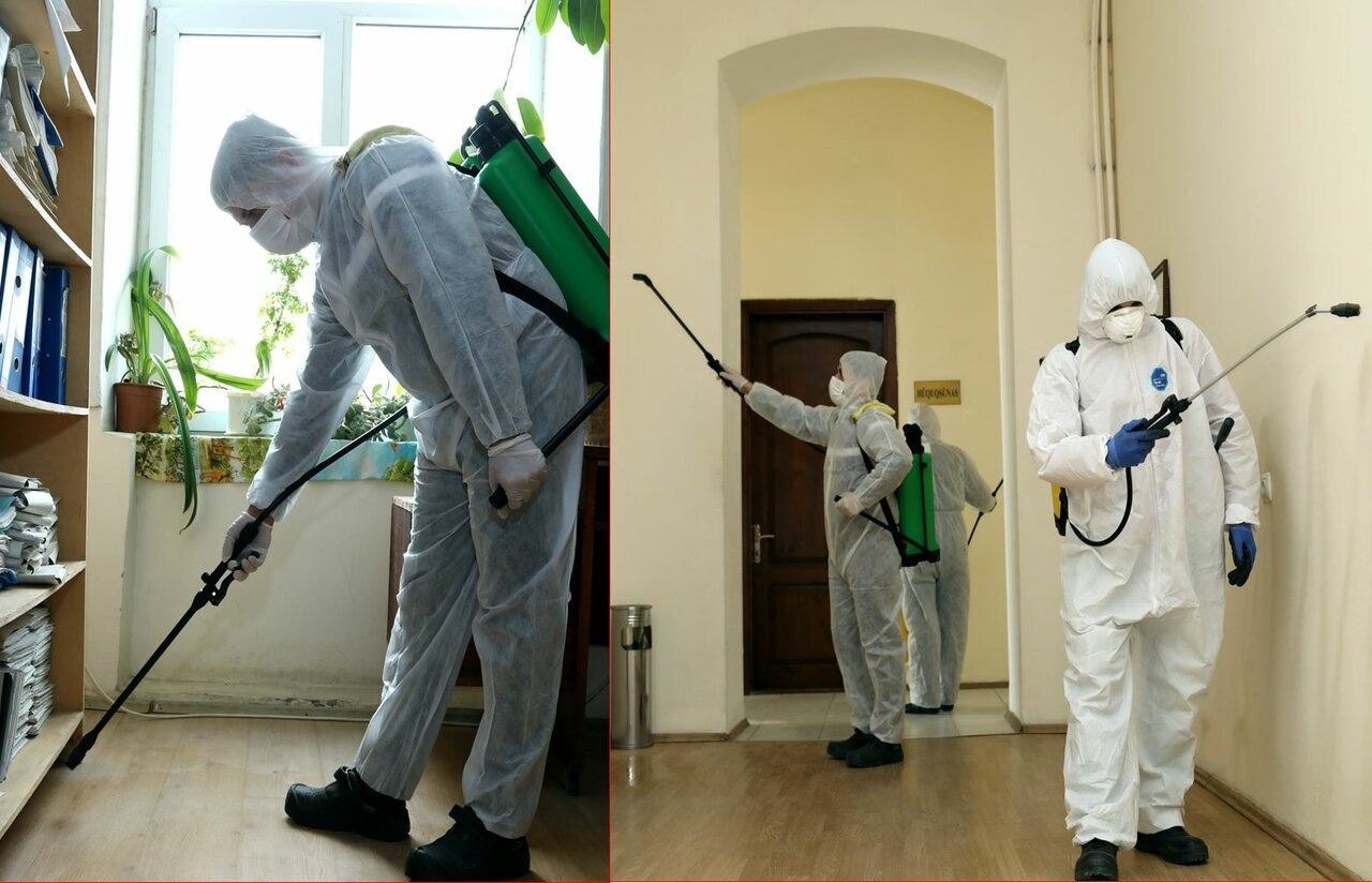 ФОТО Требуется ли лицензия для дезинсекции и дезинфекции в Большой Речке? | подробно