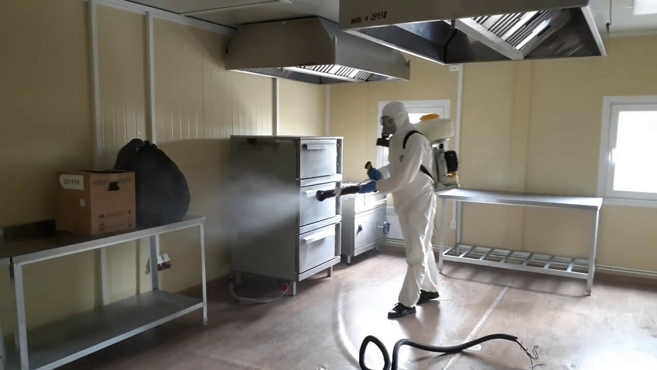 ФОТО Можно ли провести дезинсекцию самостоятельно и какие существуют риски в Большой Речке? | подробно