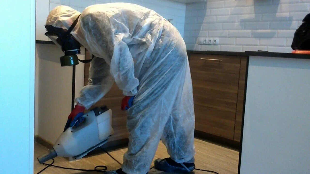 ФОТО Как подготовить домашних животных к обработке от насекомых в Большой Речке? | подробно