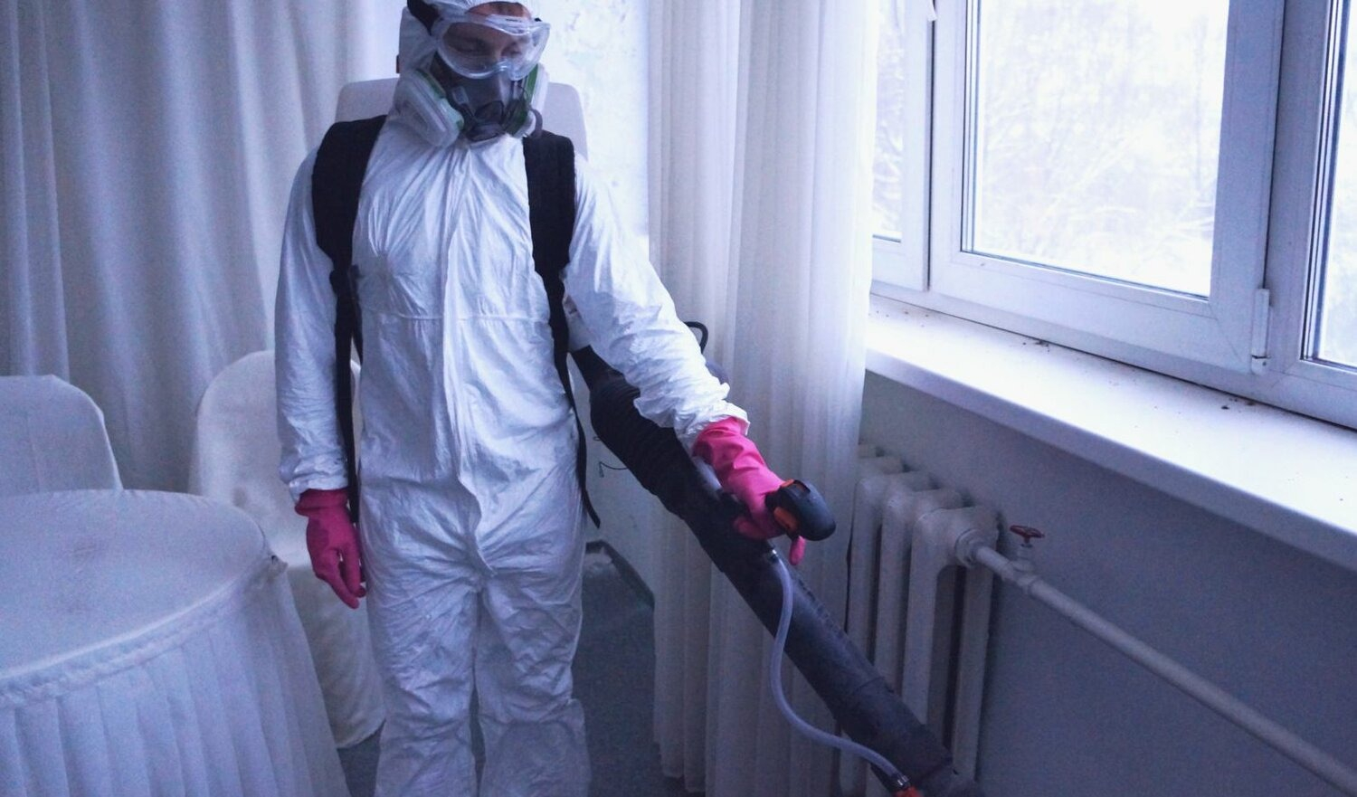 ФОТО Нужно ли выносить растения при дезинсекции в Большой Речке? | подробно