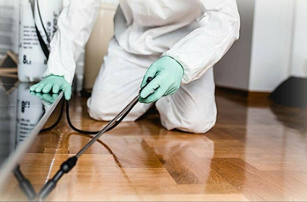 ФОТО Как подготовить вентиляцию при предстоящей дезинсекции в Большой Речке?