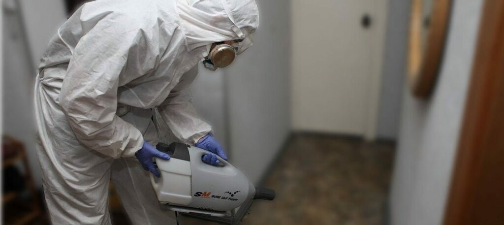 ФОТО Остаются ли следы после обработки квартиры от насекомых в Большой Речке? | подробно