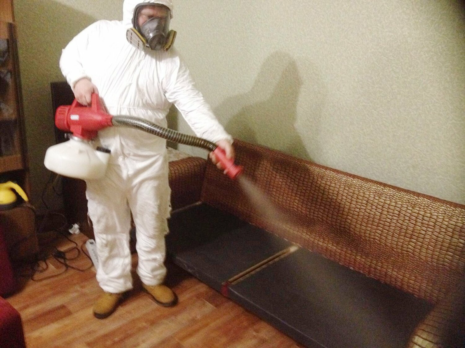 ФОТО Когда можно вернуться в помещение после дезинсекции в Большой Речке? | подробно