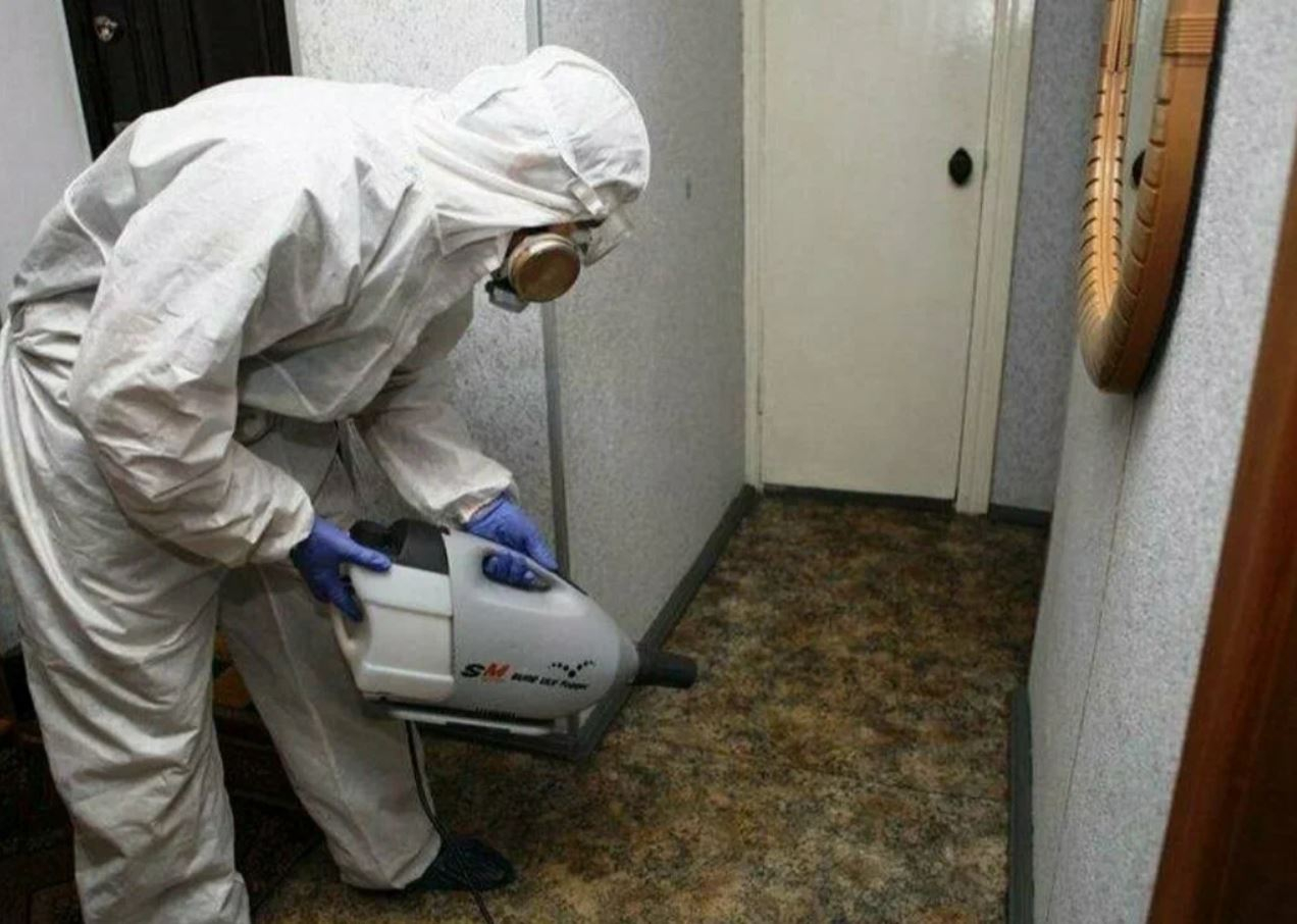 фото: Профессиональная дезинсекция в Большой Речке: <br/>+7-909-173-42-96